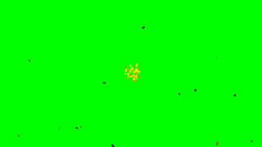 Altın Konfeti Kraker Patlaması