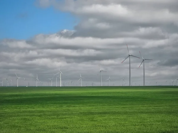 Eolian Farm Megújuló Energia Friss Zöld Területen Szemben Tiszta Kék — Stock Fotó