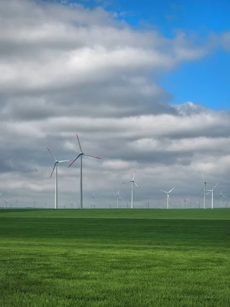 Eolian Farm Megújuló Energia Friss Zöld Területen Szemben Tiszta Kék — Stock Fotó