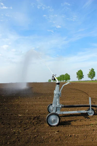 Irrigating with the sprinkler in the field — Stock Photo, Image