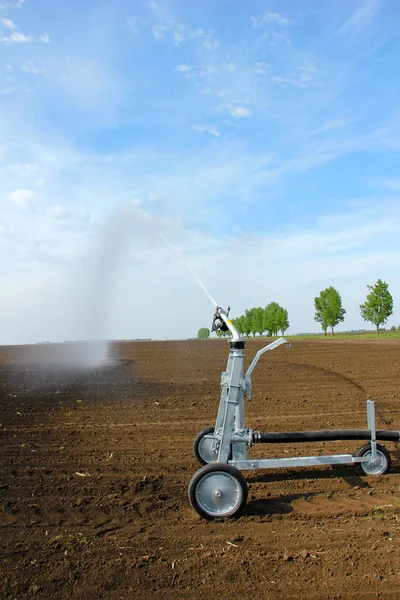 Irrigating with the sprinkler in the field — Stock Photo, Image