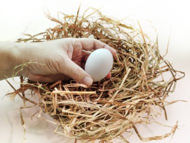 Beyaz bir arka planda, saman yuvasında beyaz bir yumurta..