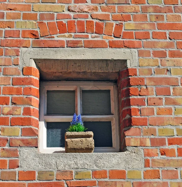 Pencerenin üzerinde kocaman bir saksı var.