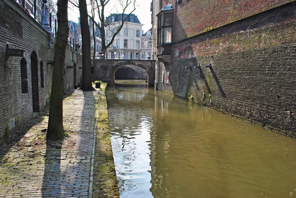 Městský Kanál Stromy Nábřeží Utrechtu Nizozemsko — Stock fotografie
