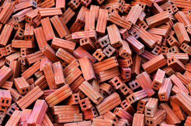 yakın çekim kabuğu durian