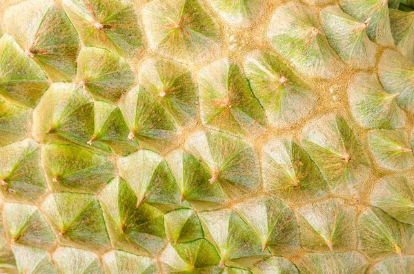Close-up durian casca — Fotografia de Stock