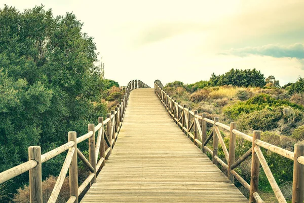 Dunas Artola Natuurpark Marbella Costa Del Sol Spanje Houtpad Toeristische — Stockfoto