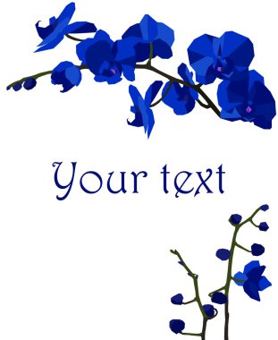 İllüstrasyon koyu mavi orkide ile.