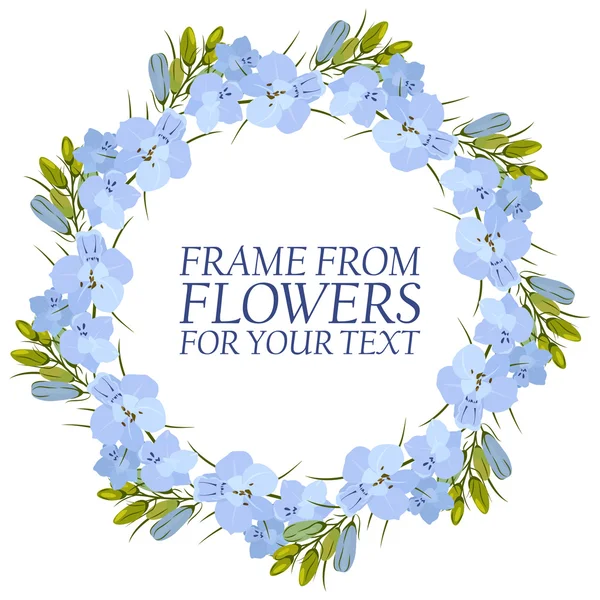 Marco de flores para texto. azul claro Flores Delphinium — Vector de stock