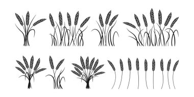 Buğday kulaklı, siyah siluet set kat vektörü