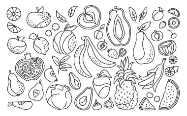 Egzotik meyve seti Hawaii moda gıda vektörü