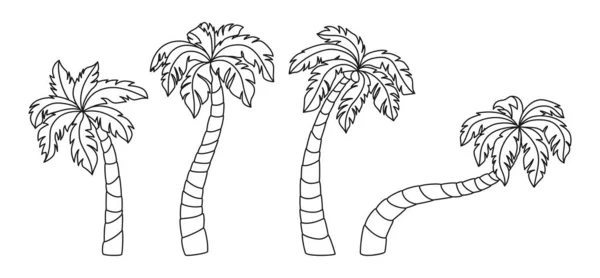 Linha de palmeira de coco conjunto de doodle vetor tropical — Vetor de Stock
