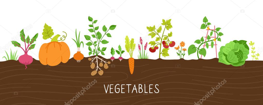 Vegetables ground cartoon set farming food vector