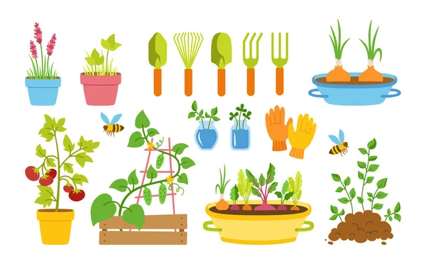 Kertész lapos rajzfilm készlet kert növényi vektor — Stock Vector