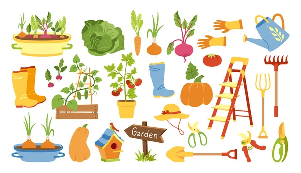 Outils de jardin plat dessin animé set rural légumes vecteur — Image vectorielle