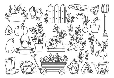 Bahçe çizgi filmi seti sebze ayırıcıları sepet vektörü