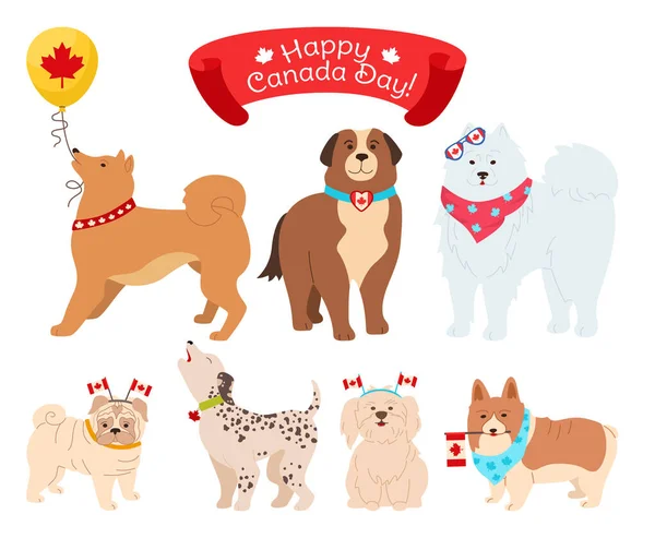 Conjunto de cães Canadá Dia patriótico animal de estimação bandeira canadense —  Vetores de Stock