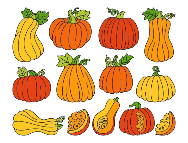 Calabaza línea de dibujos animados conjunto maduro garabato símbolo vector — Vector de stock