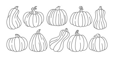 Pumpkin doodle line set contour icon symbol vector