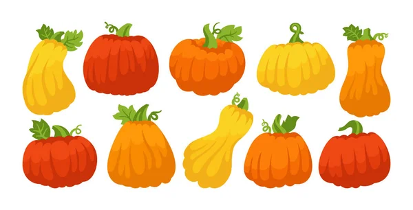 Pumpkin flat cartoon set ripe whole symbol vector — Image vectorielle