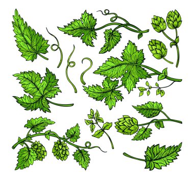 Zıplayan bitki dalı yeşil bitki seti bırakır