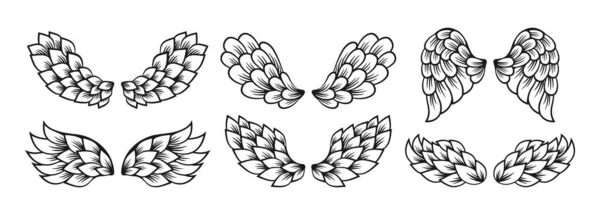 Wing ícone linha esboço conjunto sinal alado logotipo vetor —  Vetores de Stock