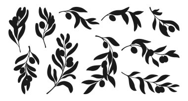 Yapraklı ve zeytinli zeytin dalları, siyah siluet seti. El çizimi botanik şekli çok az. Vektör illüstrasyonu ambalaj, logo, desen, tebrik kartı, davetiye tasarımı için mükemmel