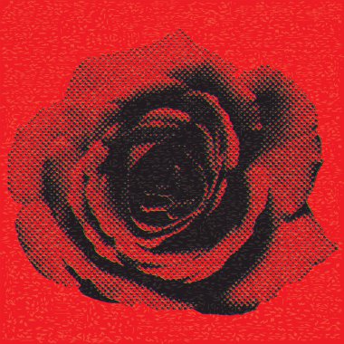 Gül çiçekli yarım tonlu ekran CMYK renkleri kırmızı arkaplanda riso yazdırma efekti çizimi ile şeffaftır. Sevgililer Günü tebrik kartı şablonu.