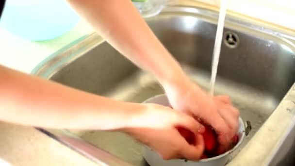 Laver les fraises de la saleté de leur propre jardin. dans le cadre, les mains féminines lavent une baie juteuse mûre. Le concept de nature, d'écologie et de produits cultivés sans OGM — Video