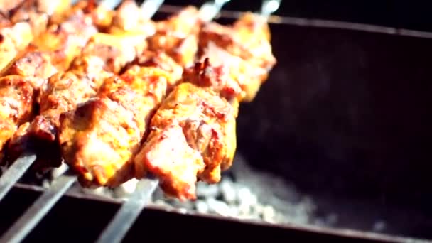 Het proces van koken heerlijke barbecue op een open vuur in de natuur. Close-up van het bakken van een heerlijk gerecht op de barbecue. Straatvoedsel. Varkensvlees op het vuur. Picknick tijd met vrienden en familie concept. — Stockvideo