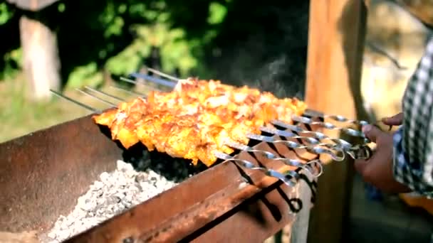 Il processo di cottura delizioso barbecue su un fuoco aperto in natura. Primo piano di friggere un delizioso piatto sul barbecue. Cibo di strada. Maiale sul fuoco. Tempo di picnic con amici e concetto di famiglia. — Video Stock