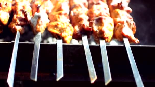 The process of cooking delicious barbecue on an open fire in nature. Close-up of frying a delicious dish on the barbecue. Street food. Pork on the fire. Picnic time with friends and family concept. — Stock Video