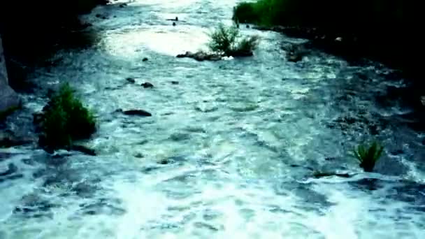 Wild schnell Mountain River Draufsicht. Detaillierte statische Aufnahme eines sprudelnden Baches mit fließenden Geröll und Pflanzen. Ukraine, Karpaten, Waldlandschaft. — Stockvideo