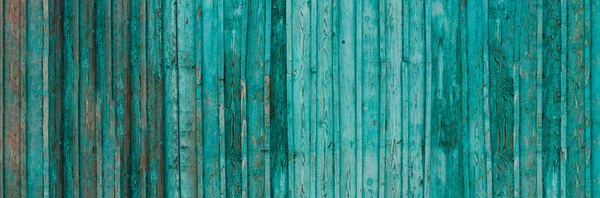 Gray wood texture banner with traces of cracked aquamarine paint.Abstract background,blank template. rustic weathered wood barn background with scratches,nails and knots.Copy space.