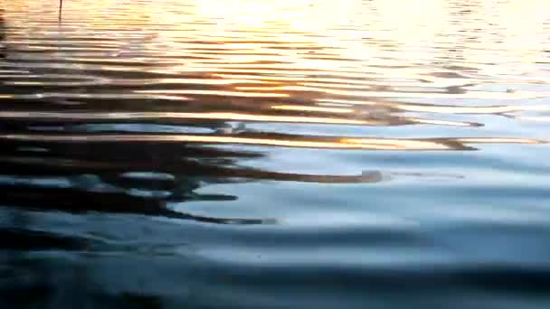 Vlnky Oslnění Řece Při Západu Slunce Podzimní Krajina — Stock video