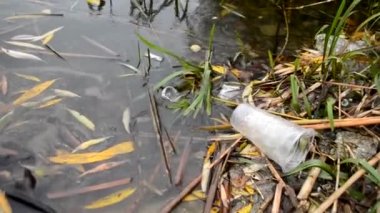 Su vücutlarının plastik kirliliği, kokteyller için plastik bardak suyun yüzeyinden yansıyarak yavaşça suyun altında sürüklenir. Çevre kirliliğinin ekolojik sorunu.