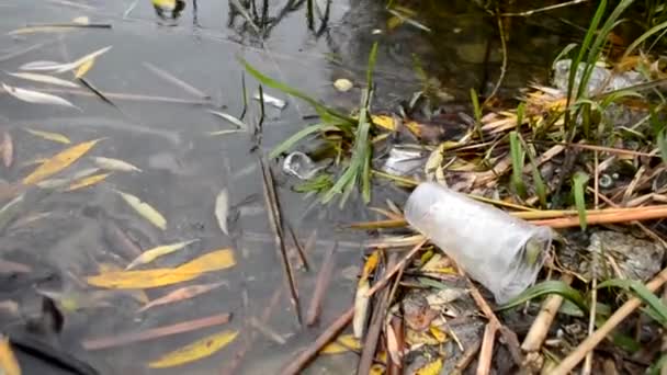 Plastikowe zanieczyszczenia zbiorników wodnych, plastikowy kubek do koktajli powoli dryfujących pod wodą, odbicie od powierzchni wody. Problem ekologiczny zanieczyszczenia środowiska. — Wideo stockowe