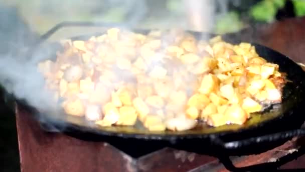 Готовить Жареную Картошку Салом Над Огнем Жареные Овощи Костре Лесу — стоковое видео