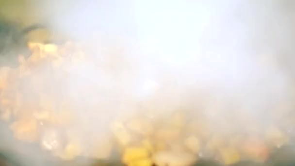 Gătesc Cartofi Prăjiţi Untură Peste Foc Legume Prăjite Foc Pădure — Videoclip de stoc