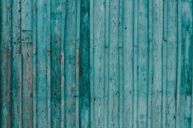 Kırık akuamarin boyası izleri olan gri ahşap doku. Soyut arka plan, boş şablon. Köy ahır arka planında çizikler, çiviler ve düğümler var. Boşluğu kopyala.