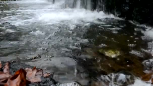 Close-up video van kristalhelder water stroomt in een stroom van bergbossen. Kleine spatten waterdruppels. Kleine waterval van de rivier in de bergen. Natuur en ecologie. Zuiver water. — Stockvideo