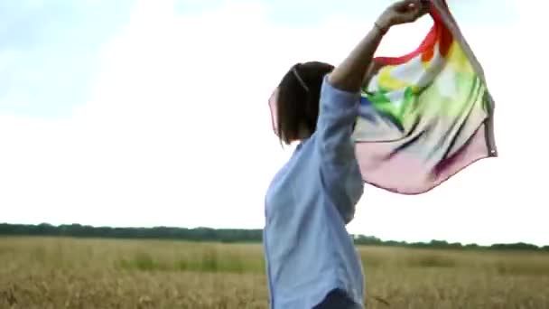 ヒッピースタイルの若い美しい女の子は、フィールドに虹の旗と渦を保持しています。風になびくLGBTの旗を持つスリムな女の子が通り過ぎていく — ストック動画