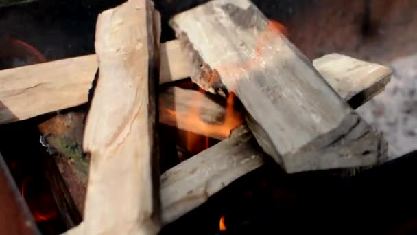 Dřevo na podpal v grilu. Krásný pohyb jasného plamene ohně nad dřevěnými kládami. Uhlí na jasném ohni v přírodě. Lehký pohyb fotoaparátu, selektivní ostření. — Stock video
