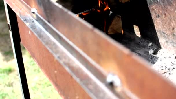 Fuego Parrilla Una Verdadera Chimenea Llena Leña Fuego Hermoso Movimiento — Vídeo de stock