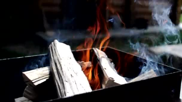 Tűzifa Grillben Végzet Tüzében Egy Gyönyörű Mozgása Egy Fényes Láng — Stock videók