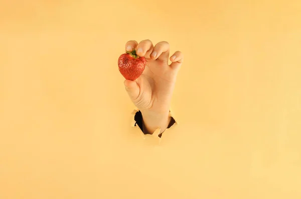 Девушка Держит Пальцами Красную Спелую Клубнику Женская Рука Рваной Бумаге — стоковое фото