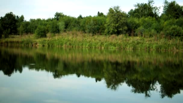 晴れた夏の日には 新鮮な水と美しい緑の木がある絵のように澄んだ山の湖の景色 湖に魚が捨てられている — ストック動画