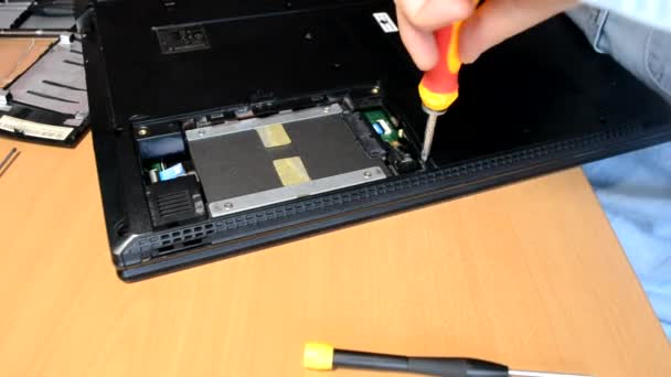 Zieht Der Assistent Die Schraube Des Ssd Laufwerks Laptop Reparatur — Stockvideo