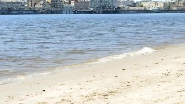 褐色水底上的波浪和太阳耀斑波涛汹涌 放松点河边的城市海滩水型运动背景下的近照太阳 — 图库视频影像
