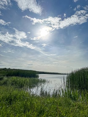 Bereketli yeşil çimenler ve uzun kamışlarla çevrili sakin suya yansıyan güneşli manzara berrak mavi gökyüzü ve dağınık bulutlarla huzurlu bir atmosfer yaratıyor.